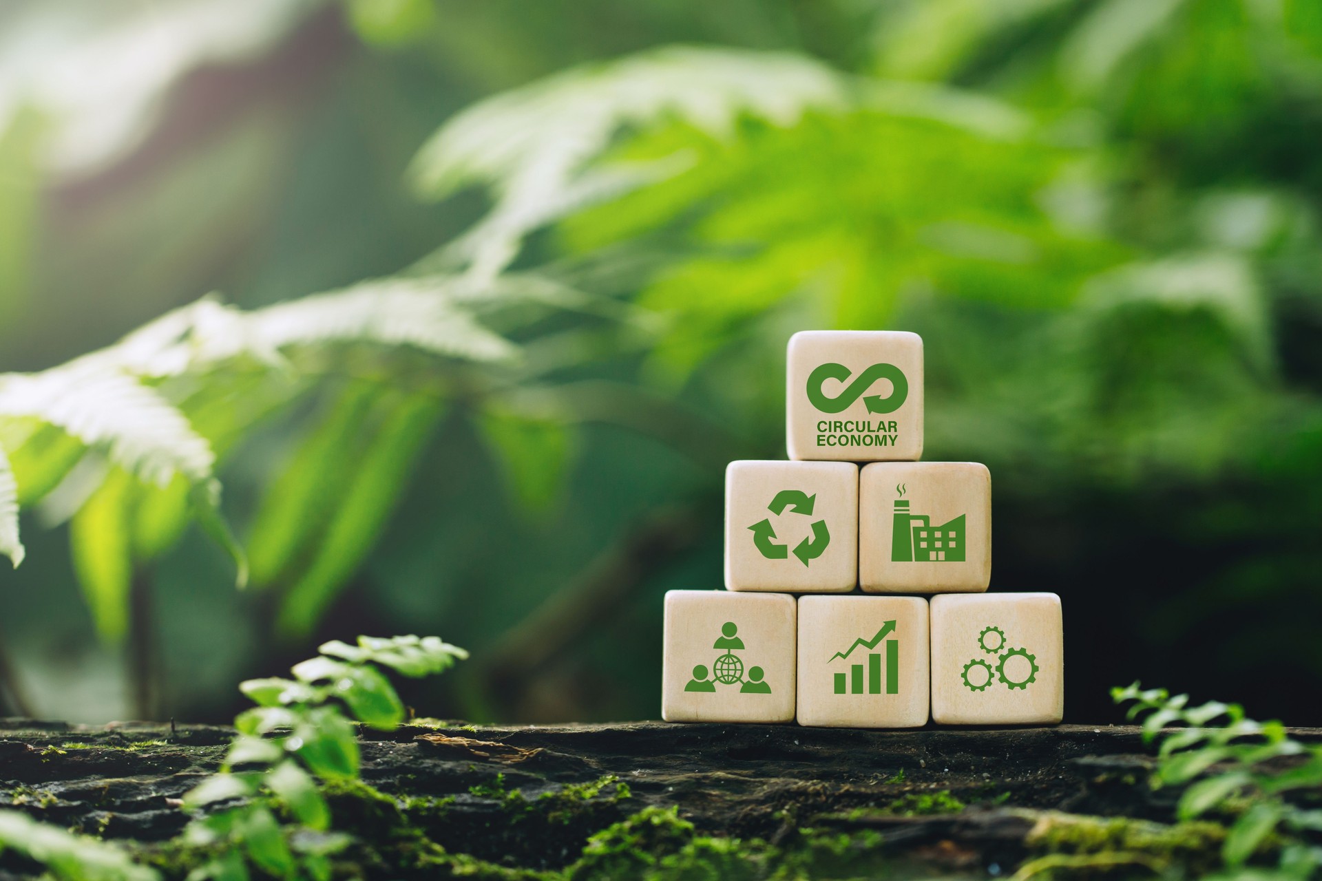 Circular economy concept.wooden cubes with a Circular economy icon on a green background. circular economy for future growth of business and design to reuse and renewable material resources.